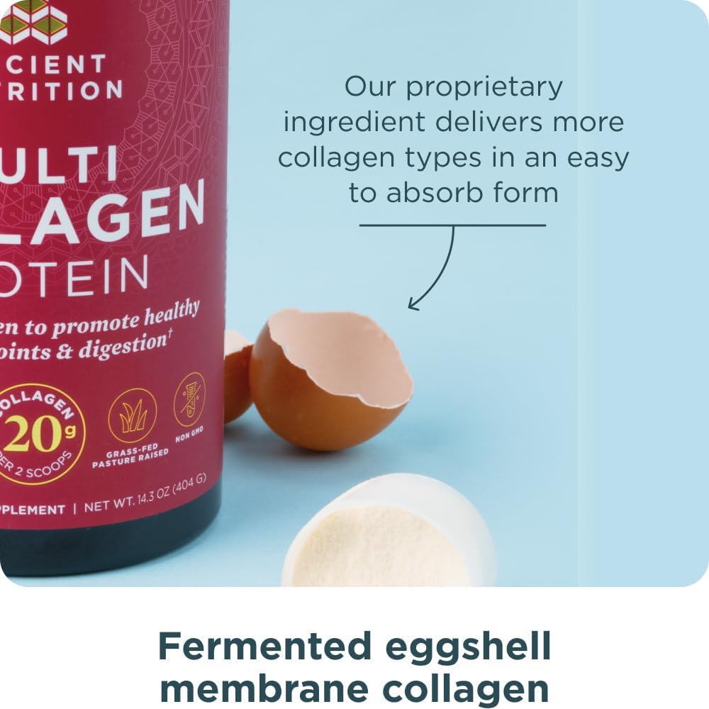 Transform Your Health with Our Multi Collagen Protein Powder - Unflavored, 40 Servings of Skin, Joint, and Gut Support