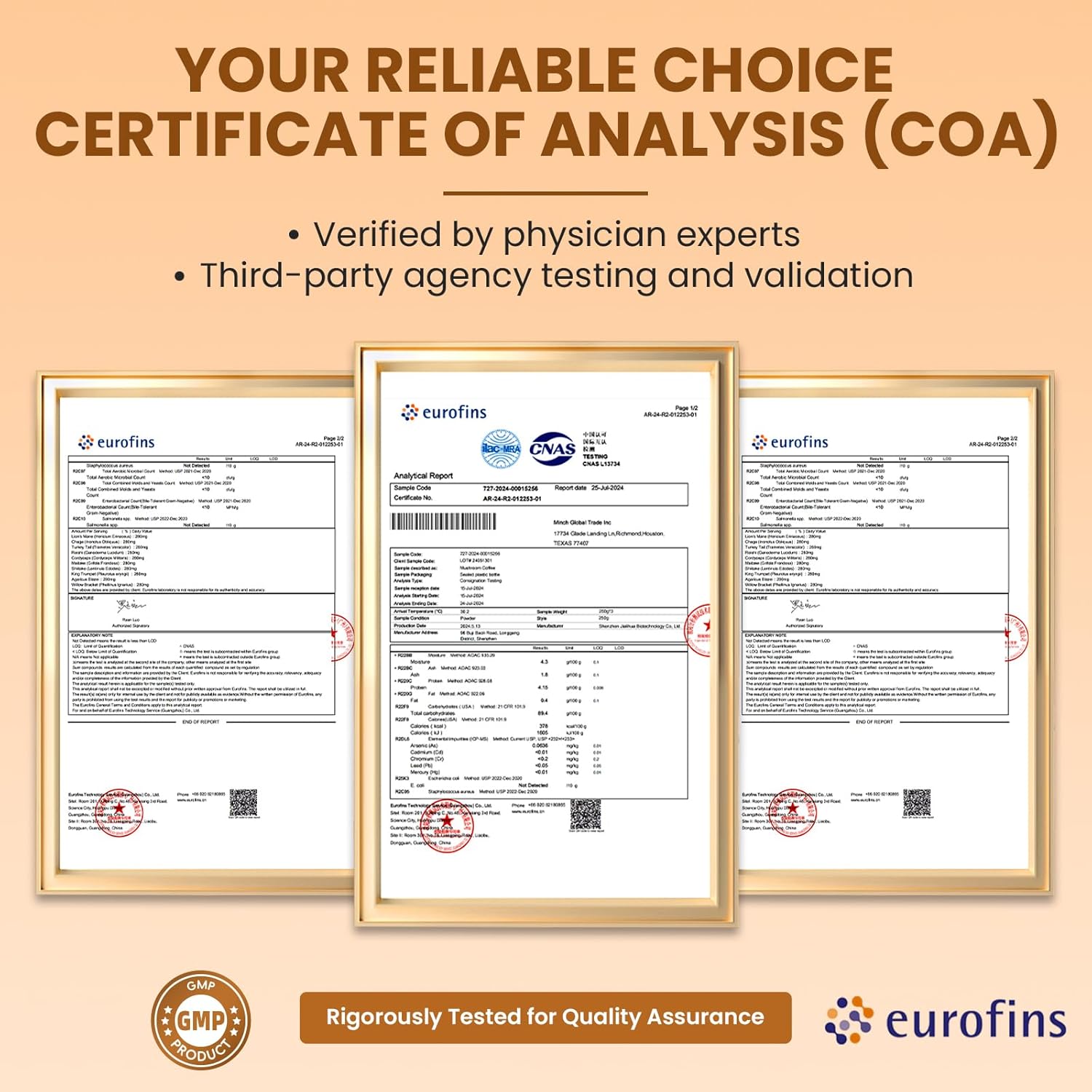 Mushroom Coffee Blend - Instant Coffee with Lion's Mane, Reishi, Chaga, Cordyceps, and Turkey Tail for Enhanced Energy, Mental Clarity, and Cognitive Support