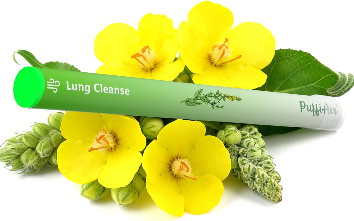 Herbal Diffuser Pen for Lung Health - Mullein, Thyme & Mint Blend for Enhanced Breathing, 600 Uses, Single Pack