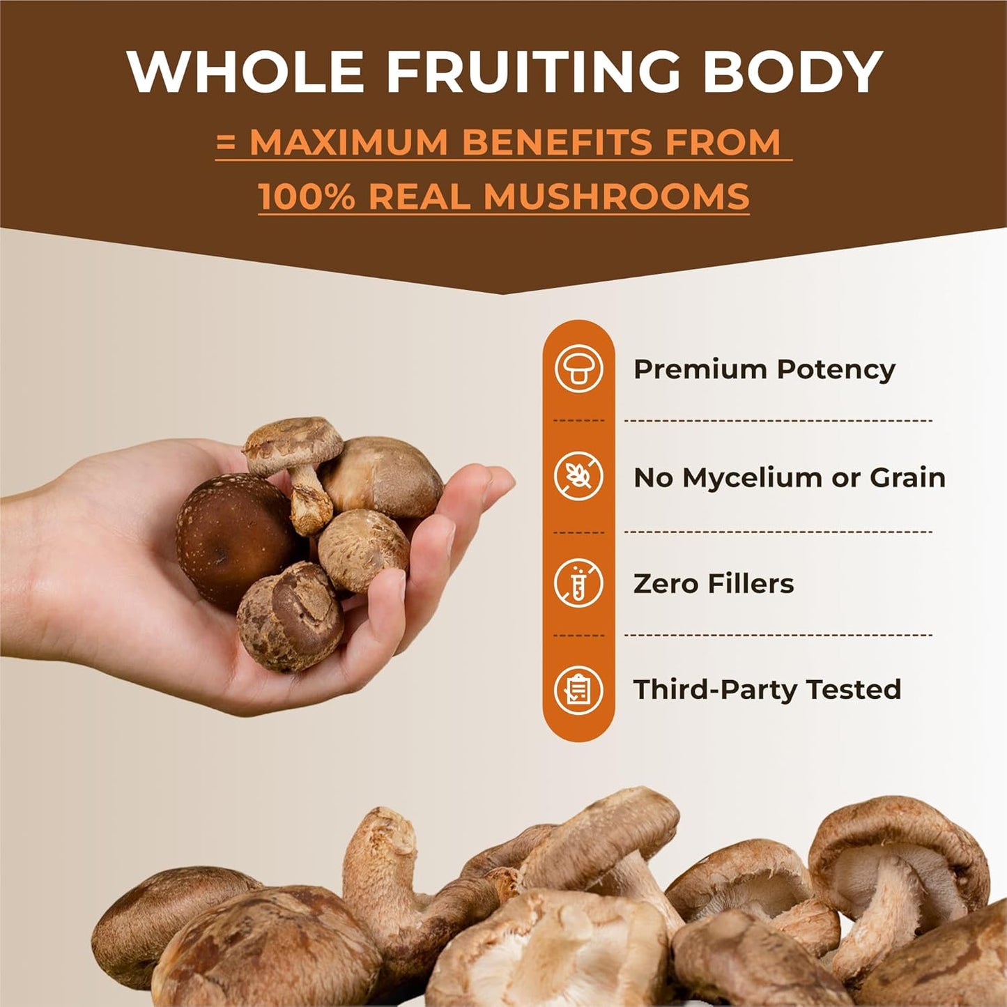 Sacred 7 Mushroom Powder Supplement - 7-in-1 Blend (7 Month Supply) | Immune Support, Cognitive Enhancement, and Energy Boost | Coffee Additive | Organic 100% Fruiting Body Extract of Lion's Mane, Reishi, and Chaga