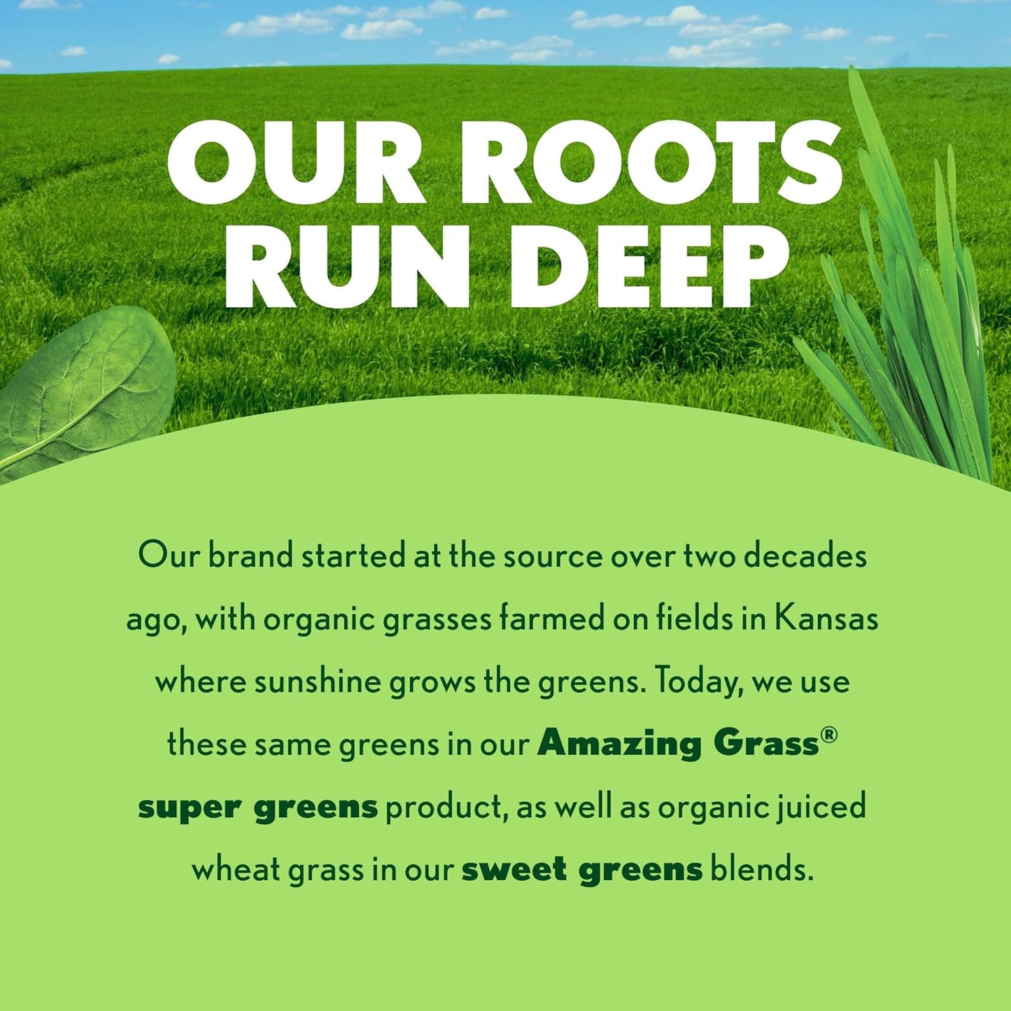 Sweet Greens and Superfoods Powder for Digestive Health, Greens Powder, Digestive Enzymes, Probiotics, Spirulina, Chlorella, Peach Hibiscus, 30 Servings