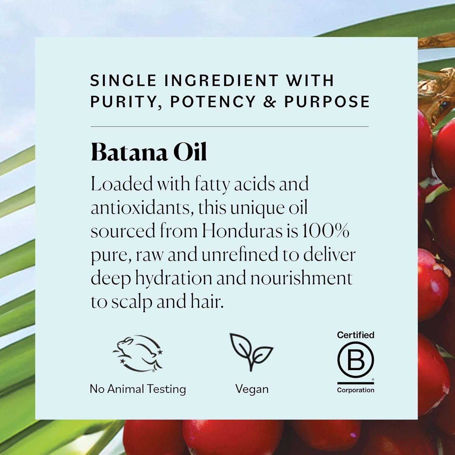 - Batana Oil, 4 Fl Oz - 100% Raw & Unrefined - Hair & Scalp Nourishment - Fatty Acids, Antioxidants, & Vitamins - Sourced from Honduras - Vegan & Cruelty Free - Hair Care & Self Care